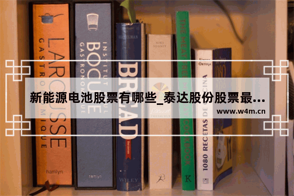 新能源电池股票有哪些_泰达股份股票最新消息