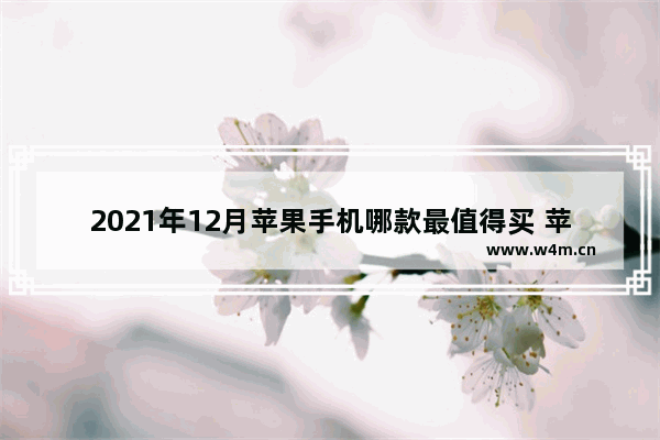 2021年12月苹果手机哪款最值得买 苹果手机推荐最值得买哪一款