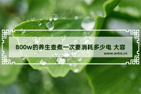 800w的养生壶煮一次要消耗多少电 大容量水壶养生壶