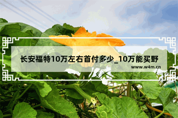 长安福特10万左右首付多少_10万能买野马吗