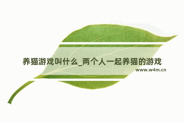 养猫游戏叫什么_两个人一起养猫的游戏