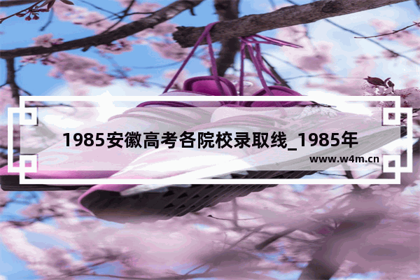 1985安徽高考各院校录取线_1985年安徽重本分数线