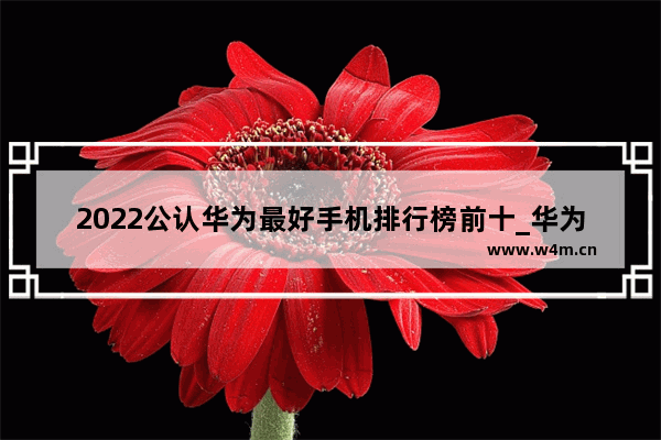 2022公认华为最好手机排行榜前十_华为手机排行榜前十名2021