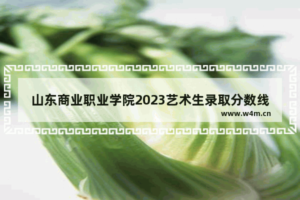 山东商业职业学院2023艺术生录取分数线 商务职业学院高考分数线