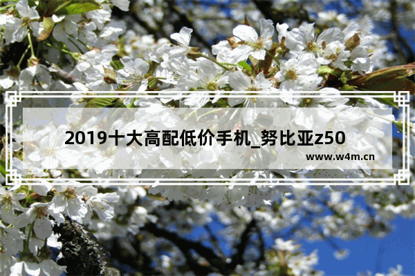 2019十大高配低价手机_努比亚z50 ultra为什么便宜