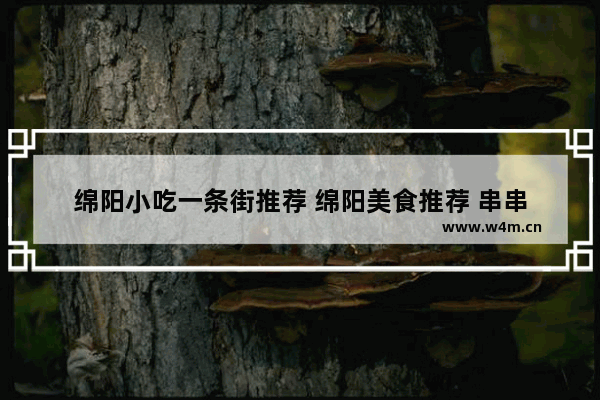 绵阳小吃一条街推荐 绵阳美食推荐 串串