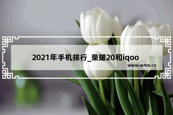 2021年手机排行_荣耀20和iqoo nova5哪个性价比高