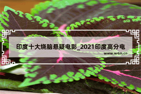 印度十大烧脑悬疑电影_2021印度高分电影