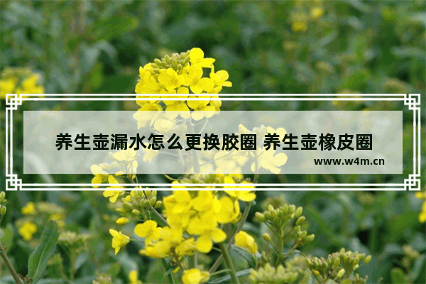 养生壶漏水怎么更换胶圈 养生壶橡皮圈