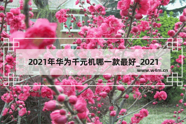 2021年华为千元机哪一款最好_2021华为一千元以内手机