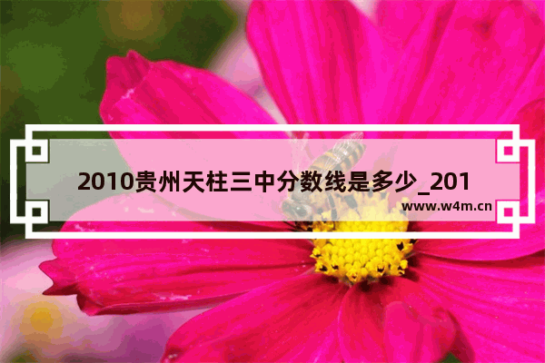 2010贵州天柱三中分数线是多少_2010年贵州人口总量比例