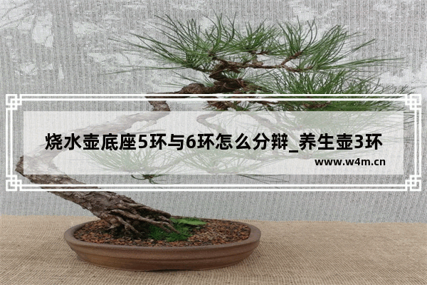 烧水壶底座5环与6环怎么分辩_养生壶3环底座能用4环壶吗