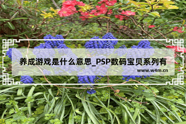 养成游戏是什么意思_PSP数码宝贝系列有哪些游戏