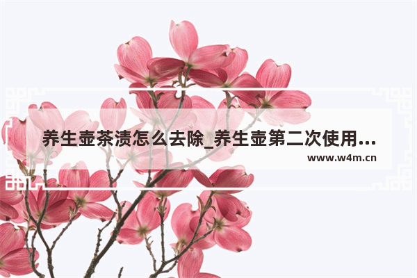 养生壶茶渍怎么去除_养生壶第二次使用前怎么清洗