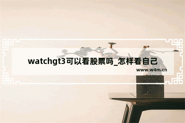 watchgt3可以看股票吗_怎样看自己证券账户的沪深账户号