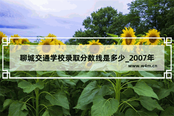 聊城交通学校录取分数线是多少_2007年河南交通职业技术学院录取分数