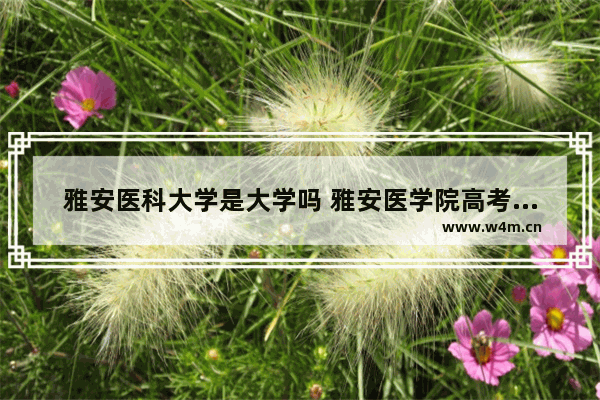 雅安医科大学是大学吗 雅安医学院高考分数线