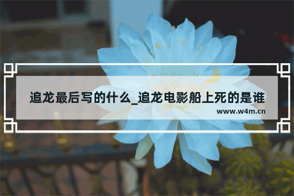 追龙最后写的什么_追龙电影船上死的是谁