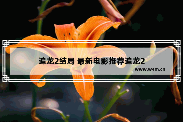 追龙2结局 最新电影推荐追龙2