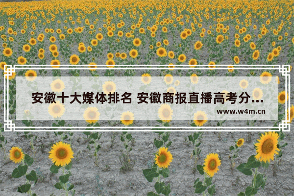 安徽十大媒体排名 安徽商报直播高考分数线