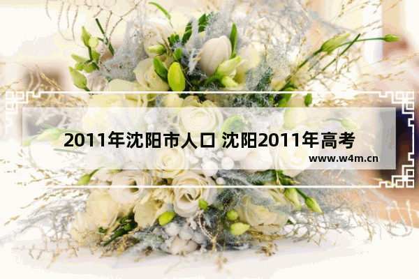 2011年沈阳市人口 沈阳2011年高考分数线