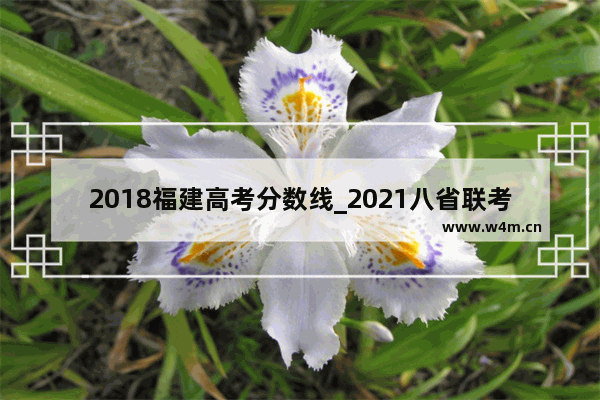 2018福建高考分数线_2021八省联考各省分数线