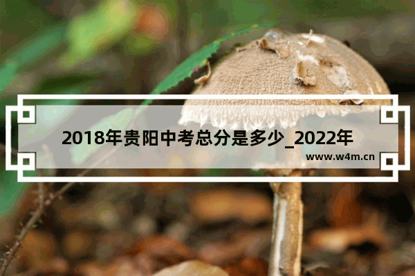 2018年贵阳中考总分是多少_2022年贵州省高考分数排位114210上什么大学