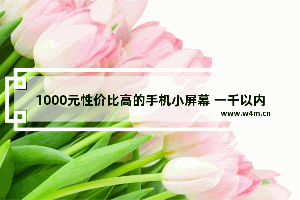 1000元性价比高的手机小屏幕 一千以内小屏手机推荐哪款好用