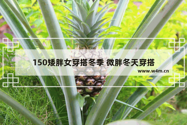 150矮胖女穿搭冬季 微胖冬天穿搭