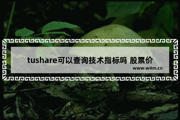 tushare可以查询技术指标吗 股票价格查询接口