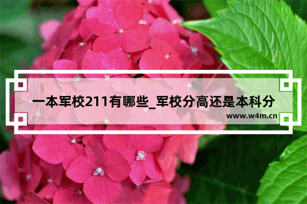 一本军校211有哪些_军校分高还是本科分高