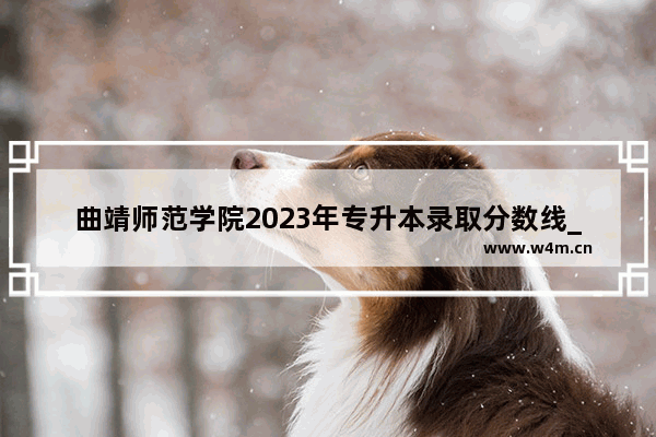 曲靖师范学院2023年专升本录取分数线_高考449分在云南可以读什么学校