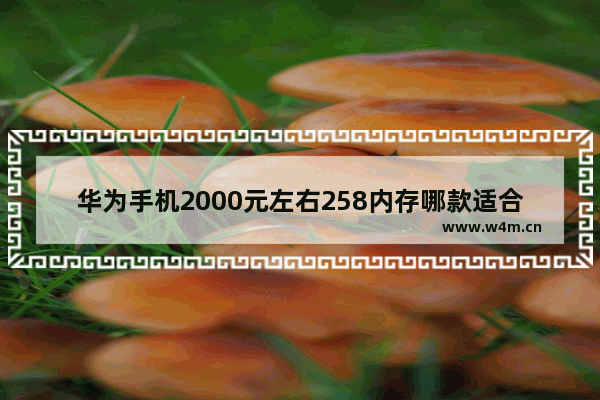 华为手机2000元左右258内存哪款适合老年人用 华为一千五百左右手机推荐哪款好用一点