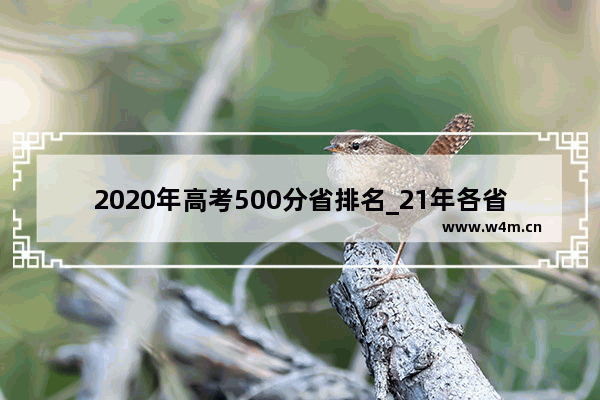 2020年高考500分省排名_21年各省高考分数线