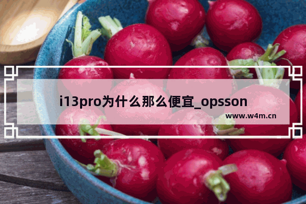 i13pro为什么那么便宜_opsson手机为什么这么便宜