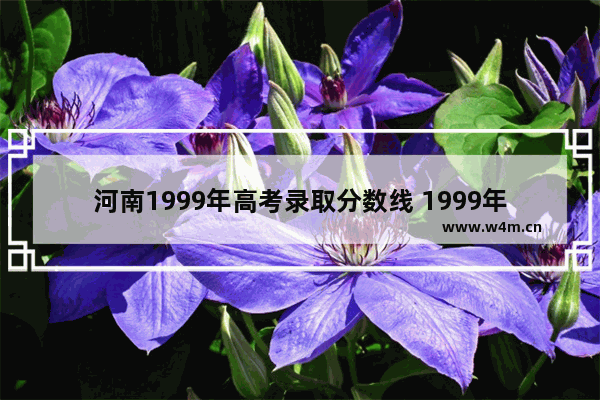 河南1999年高考录取分数线 1999年高考分数线河南