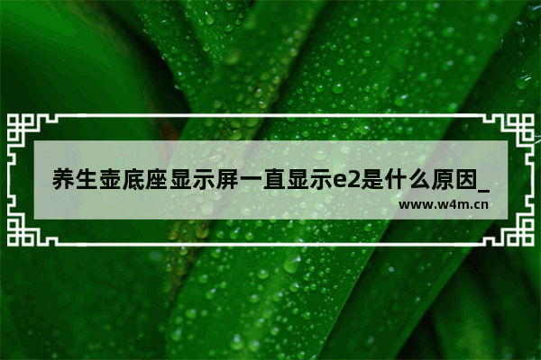 养生壶底座显示屏一直显示e2是什么原因_和庭养生壶价格多少钱