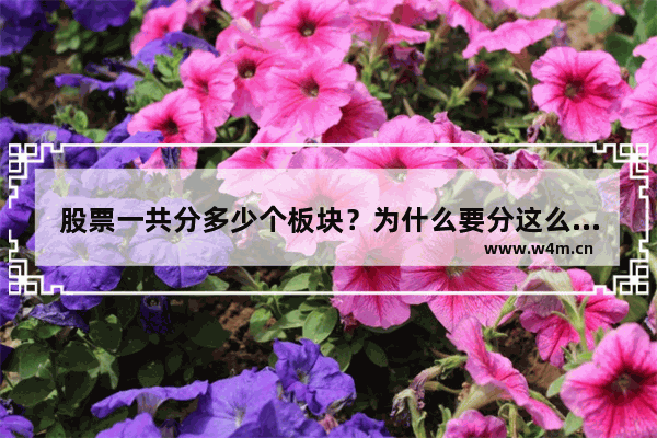 股票一共分多少个板块？为什么要分这么多板块 股票一共有多少个板块