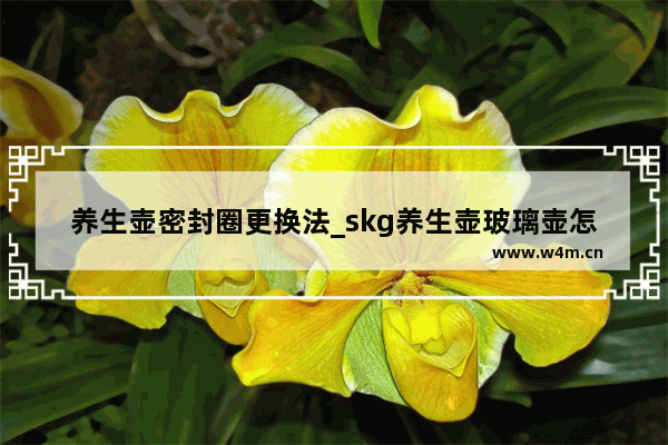 养生壶密封圈更换法_skg养生壶玻璃壶怎么更换