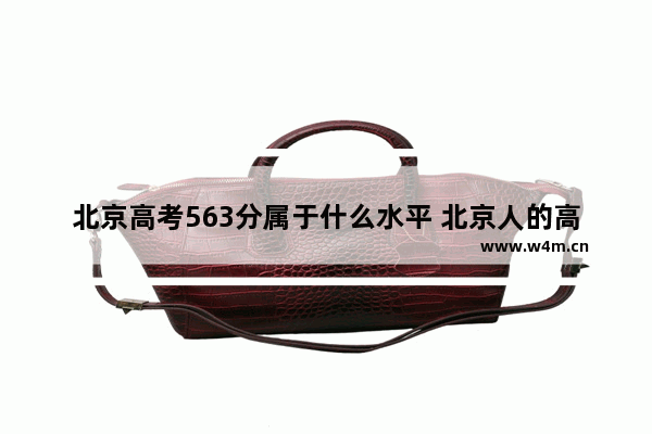 北京高考563分属于什么水平 北京人的高考分数线