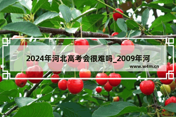 2024年河北高考会很难吗_2009年河北高考分数线