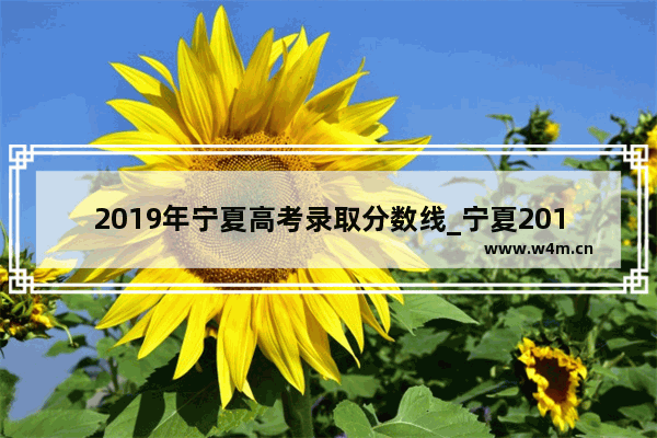 2019年宁夏高考录取分数线_宁夏2019年高考录取分数线