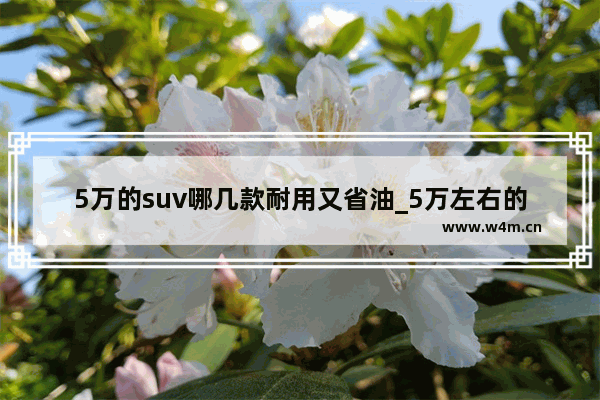 5万的suv哪几款耐用又省油_5万左右的哪款小轿车最省油