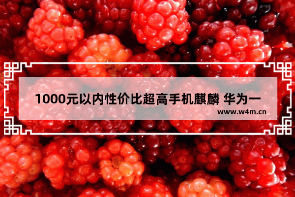 1000元以内性价比超高手机麒麟 华为一千多左右手机推荐哪款比较好