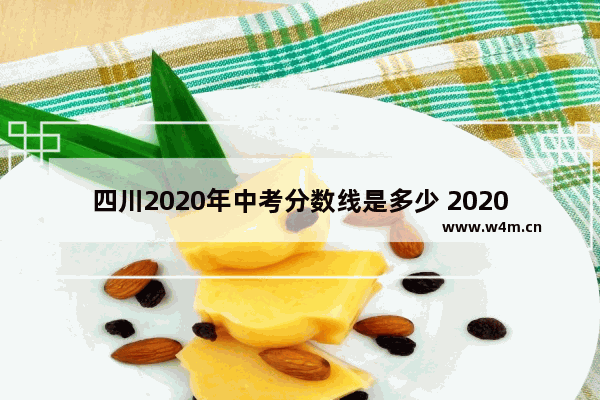 四川2020年中考分数线是多少 2020 四川高考分数线