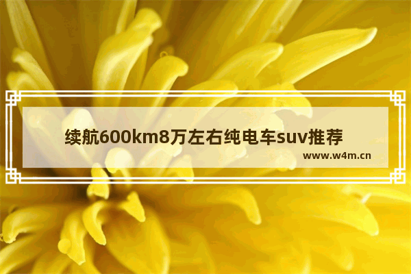 续航600km8万左右纯电车suv推荐 8万左右新车推荐电动车型