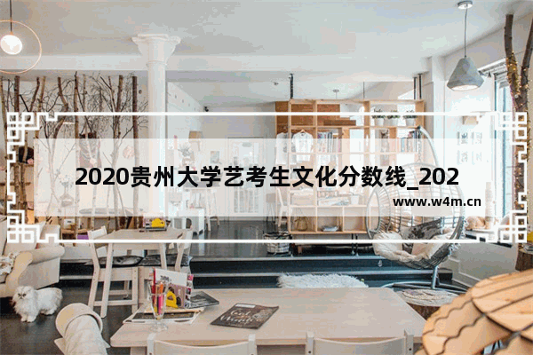 2020贵州大学艺考生文化分数线_2020年市一高分数线是多少啊