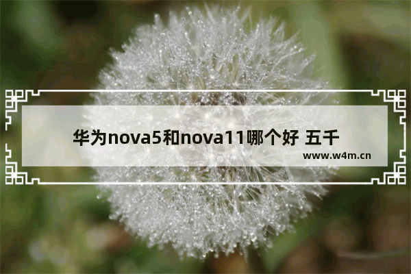 华为nova5和nova11哪个好 五千元左右手机推荐华为