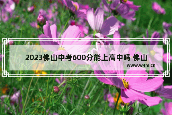 2023佛山中考600分能上高中吗 佛山禅城区高考分数线