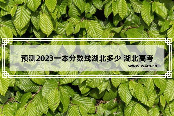 预测2023一本分数线湖北多少 湖北高考分数线是多少文科